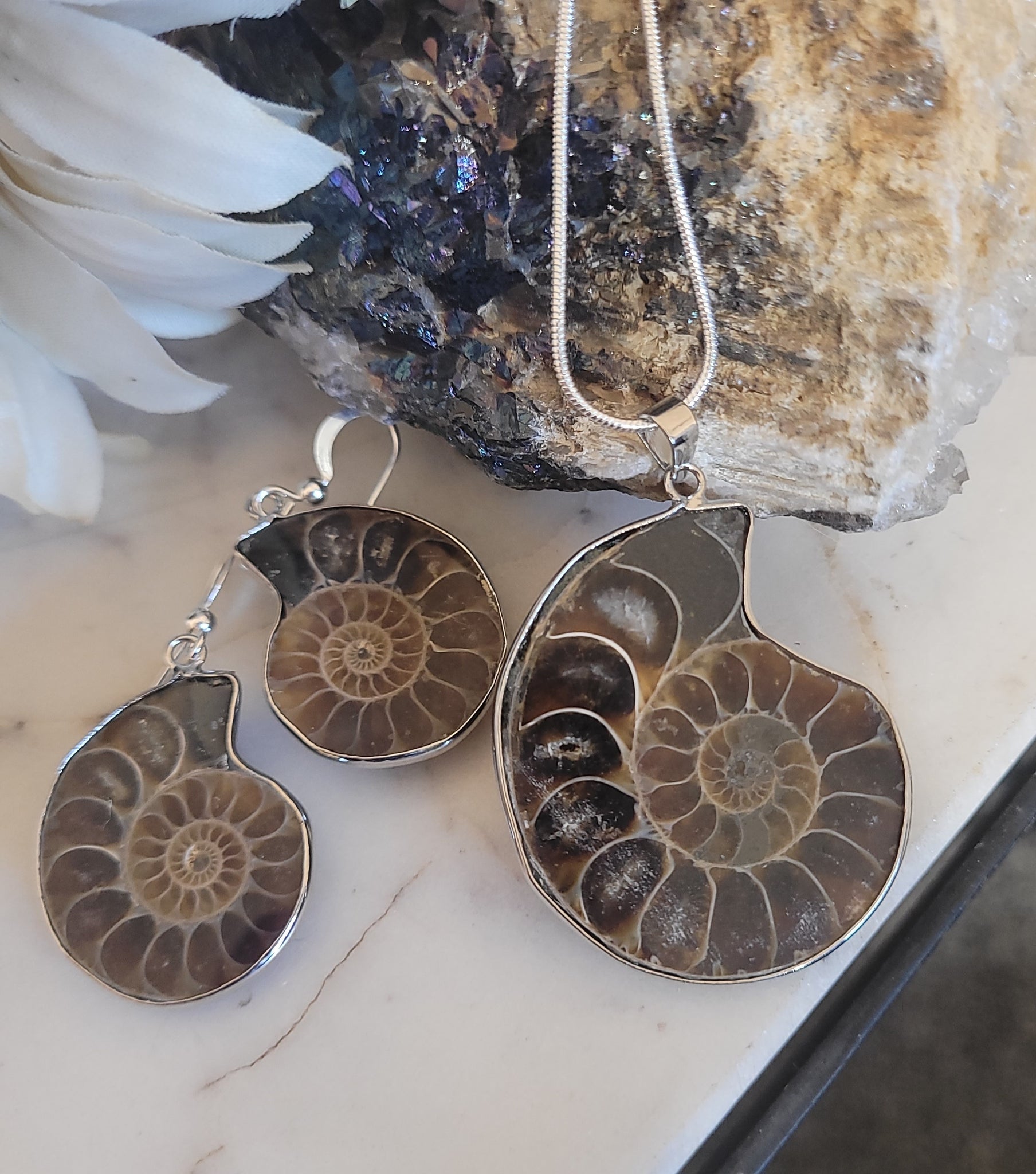Ammonite Fossil Necklace Silver Wrap