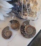 Ammonite Fossil Necklace Silver Wrap