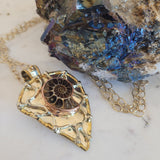 Mounted Ammonite Fossil Necklace Copper Wrap