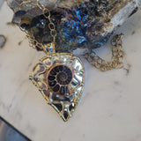 Mounted Ammonite Fossil Necklace Copper Wrap